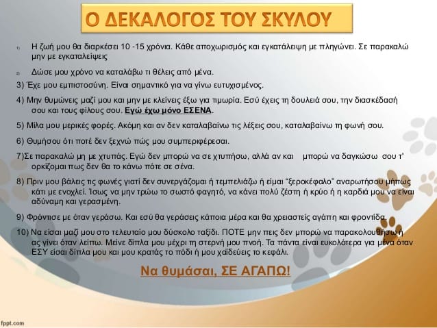 σκύλοι ζώα κατοικίδια