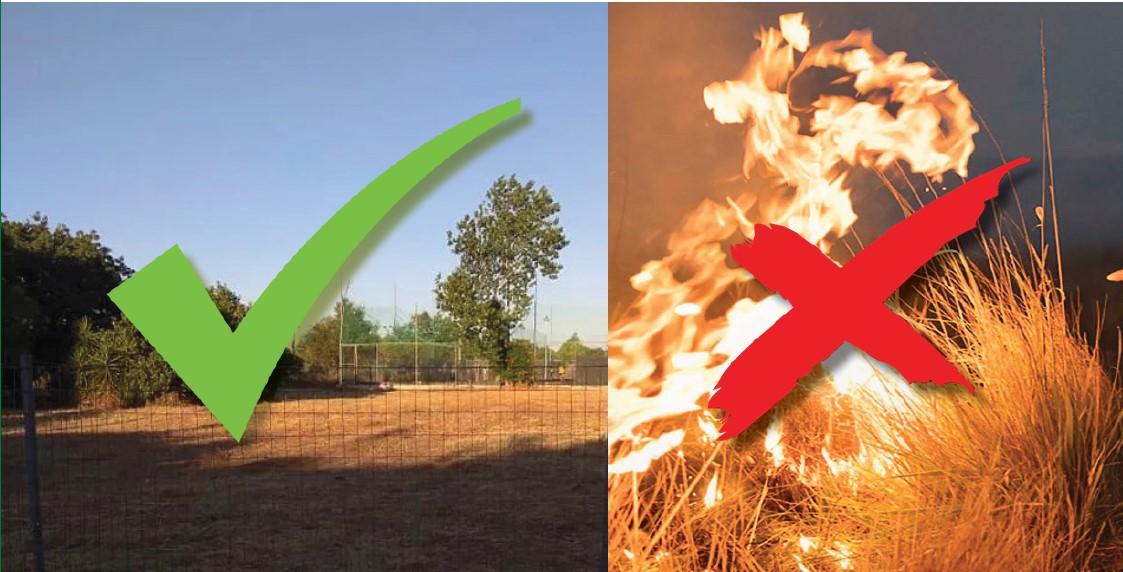 Οδηγίες κατά την αντιπυρική περίοδο - Δασικές Πυρκαγιές: Πρόληψη