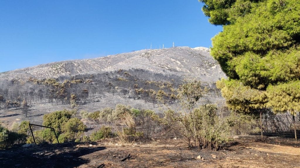 Υμηττός εθελοντικές περιπολίες
