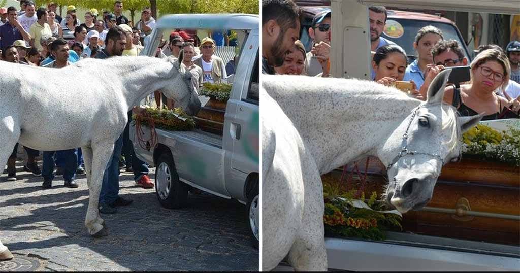 άλογο κηδεία