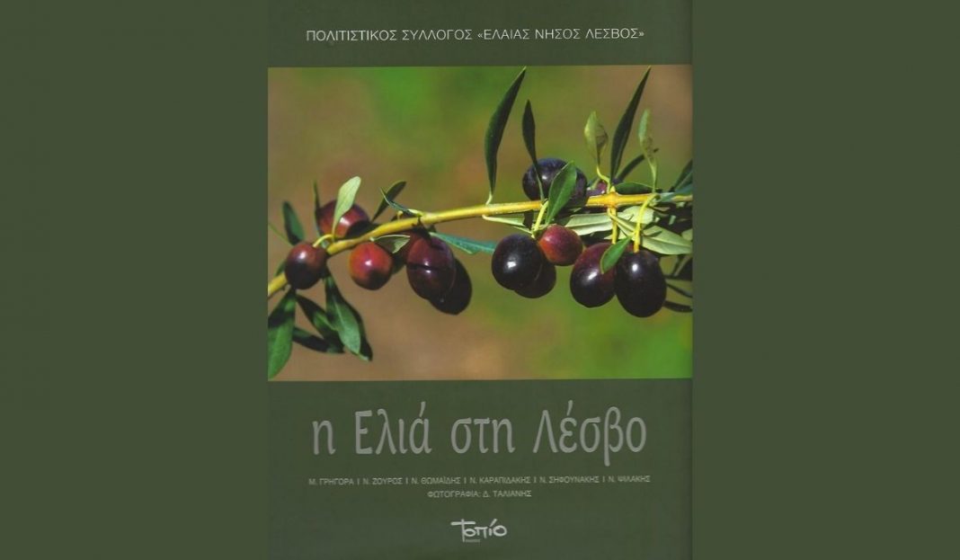 Λεύκωμα 