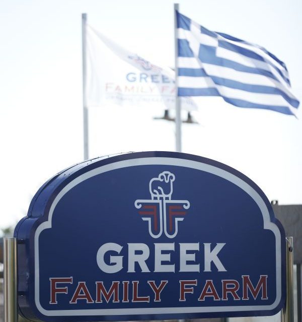Greek Family Farm