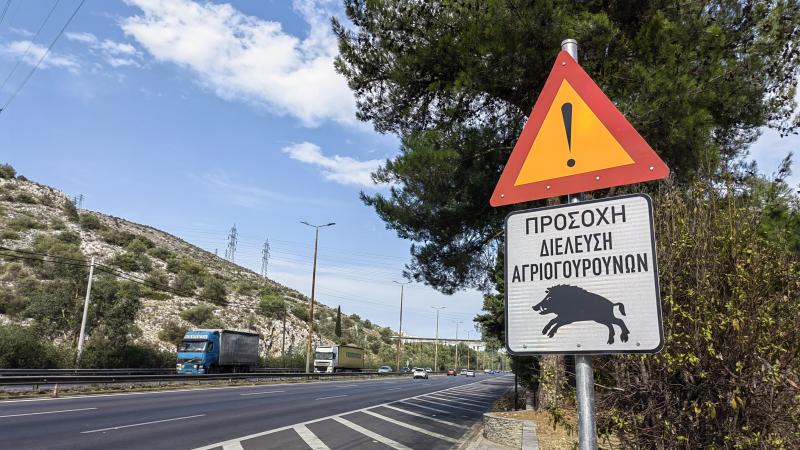 Αγριογούρουνα πινακίδες