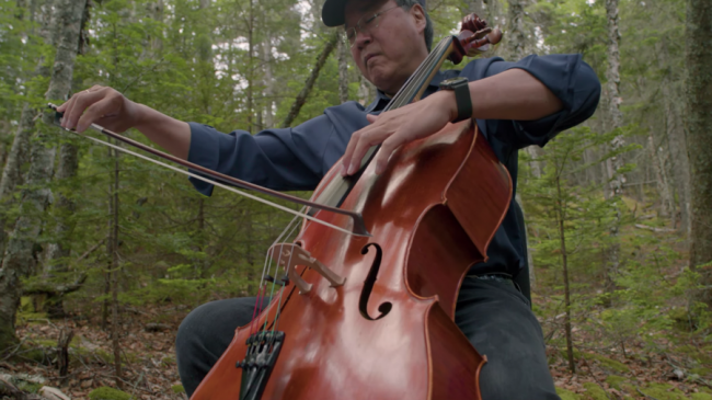 Yo -Yo Ma πουλιά δάσος