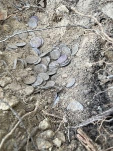 Κρυμμένος θησαυρός στην Ιταλία – Ρωμαϊκά νομίσματα ηλικίας 2.000 ετών