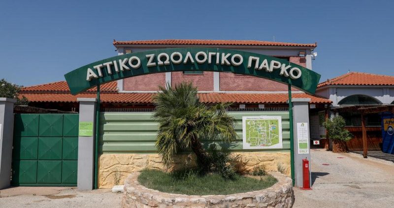 αττικό πάρκο