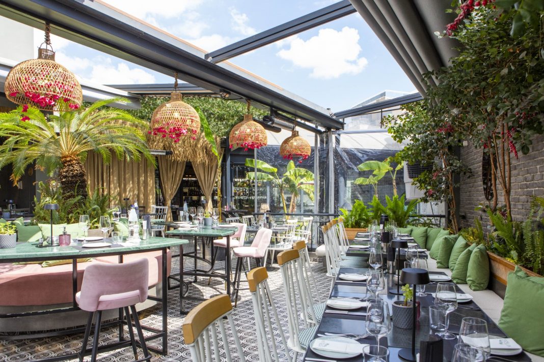 chelona athens brunch